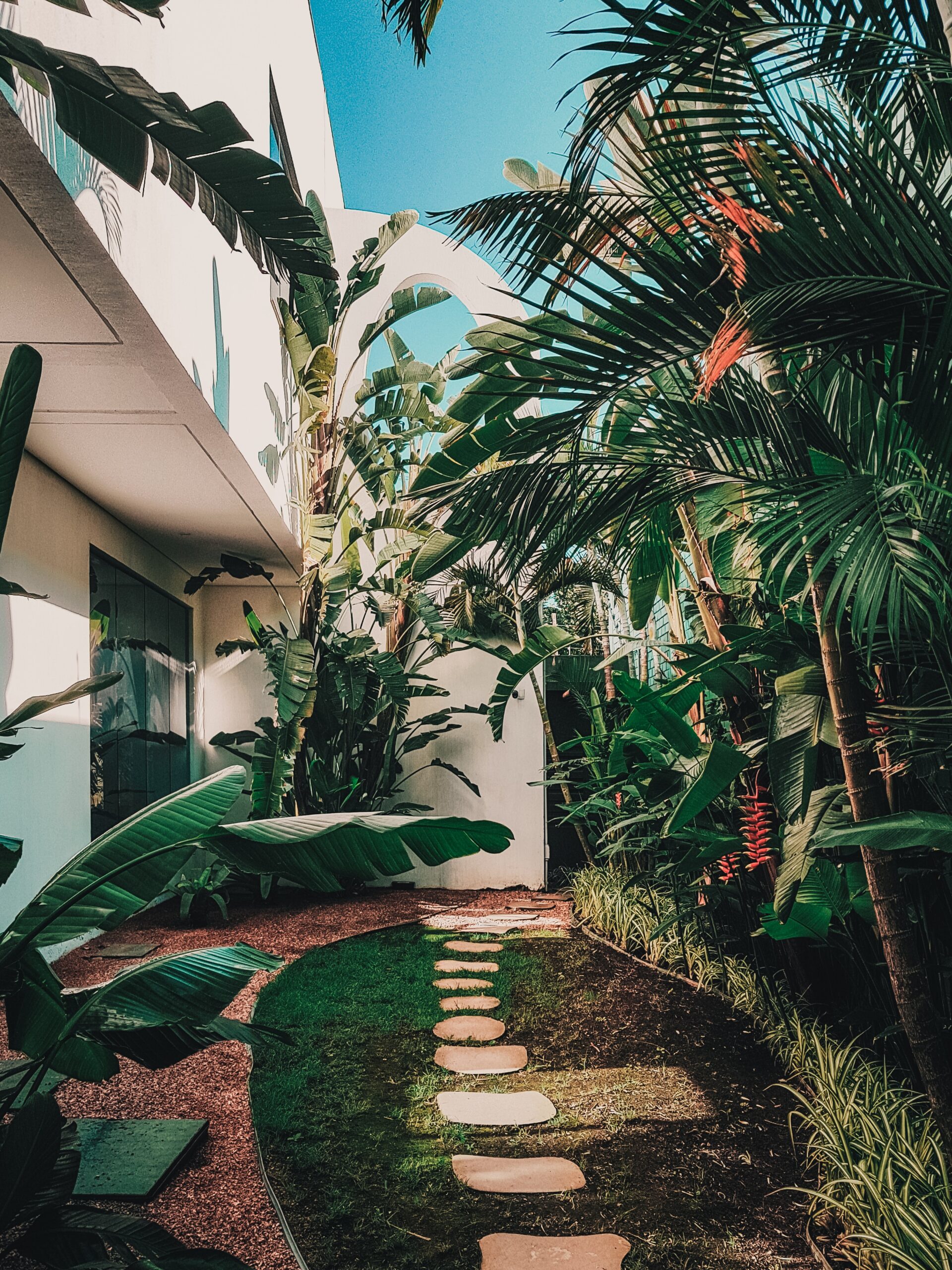 How to declutter your garden